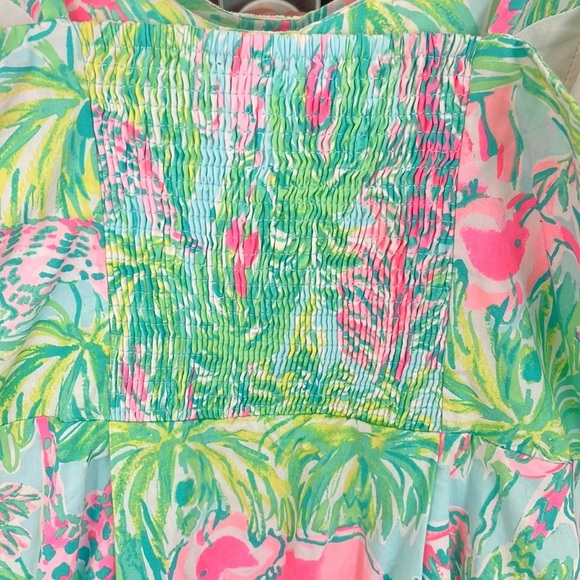 Lilly Pulitzer Pink and Green Easton Dress - Picture 8 of 15